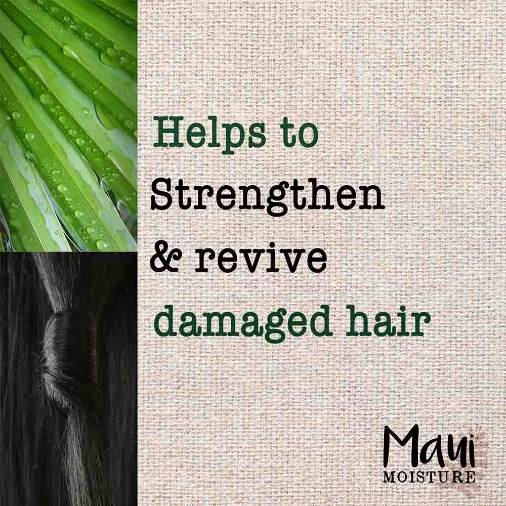 Maui Moisture - Shampoo Thicken & Restore 385ml