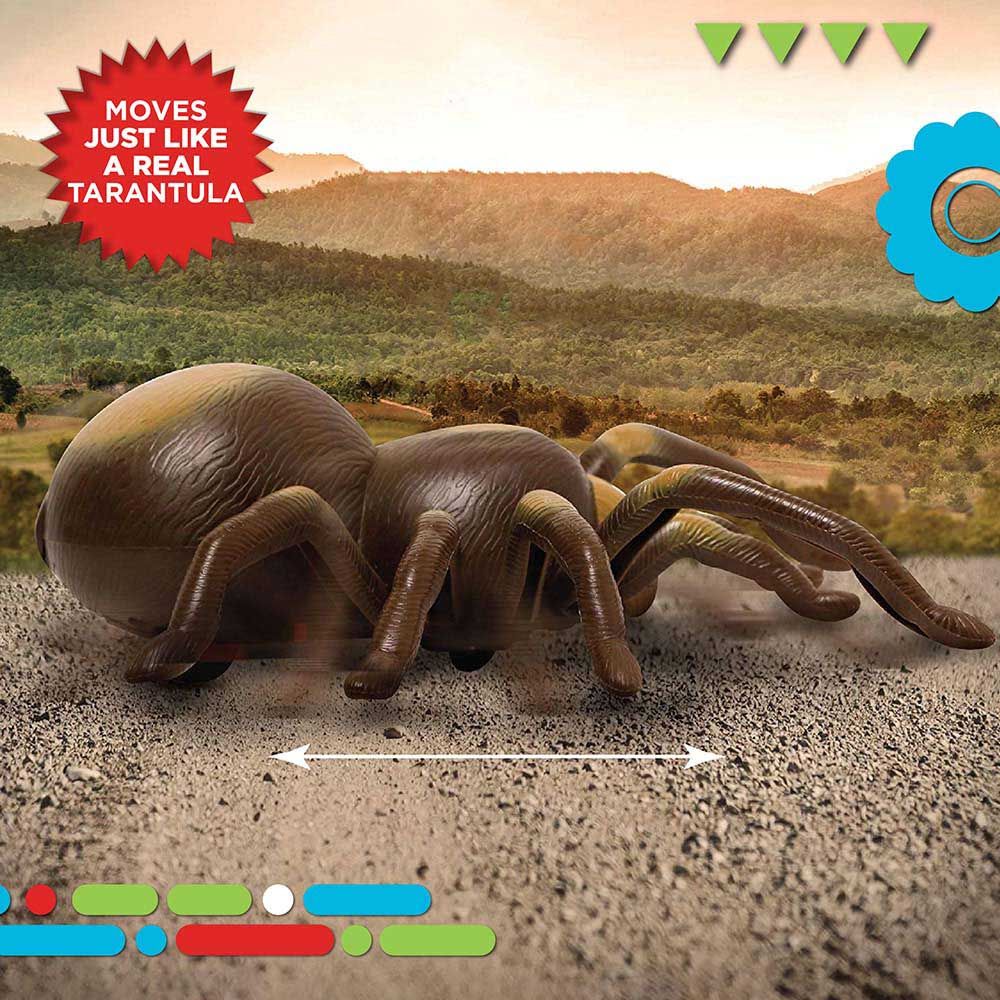 Discovery - Remote Control Tarantula Spider Toy