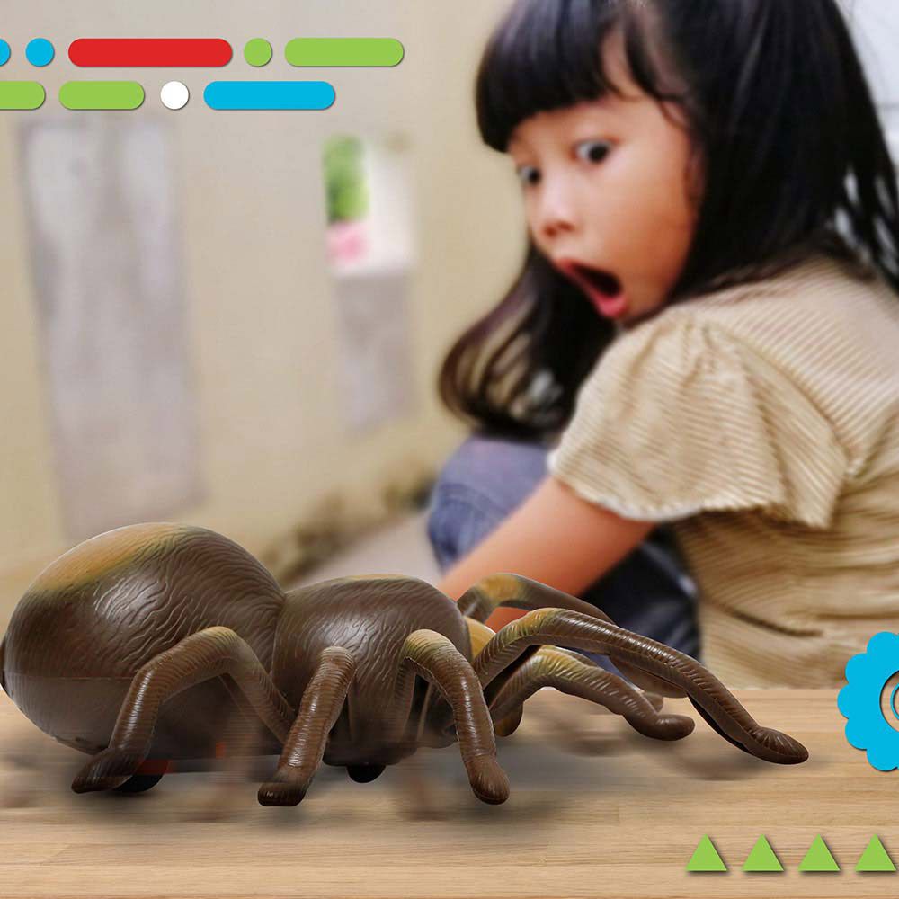 Discovery - Remote Control Tarantula Spider Toy