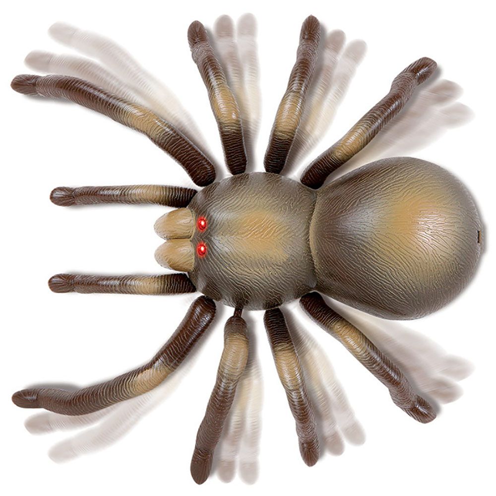 Discovery - Remote Control Tarantula Spider Toy