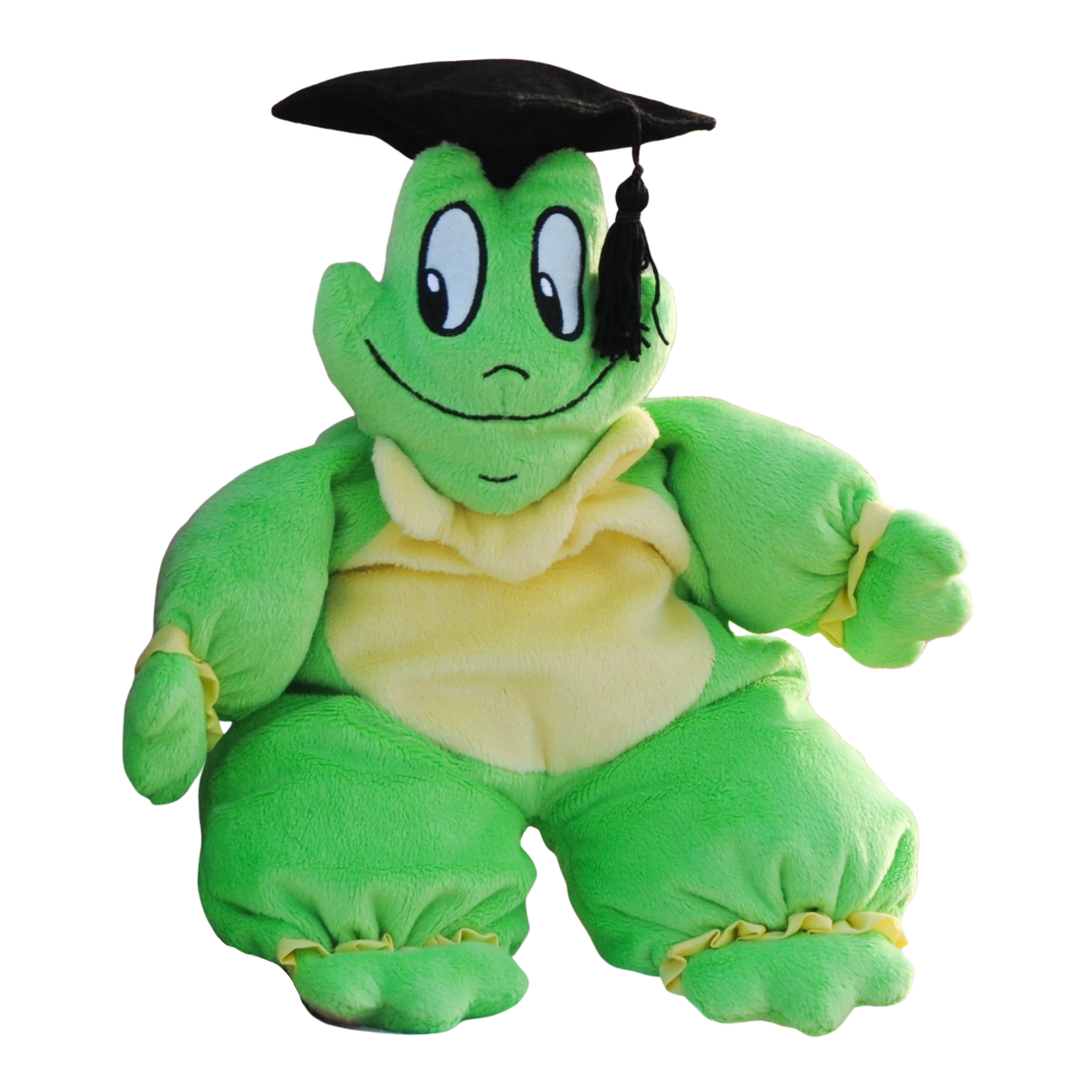 Freds Swim Academy - Freddy Frog Pillow - Green