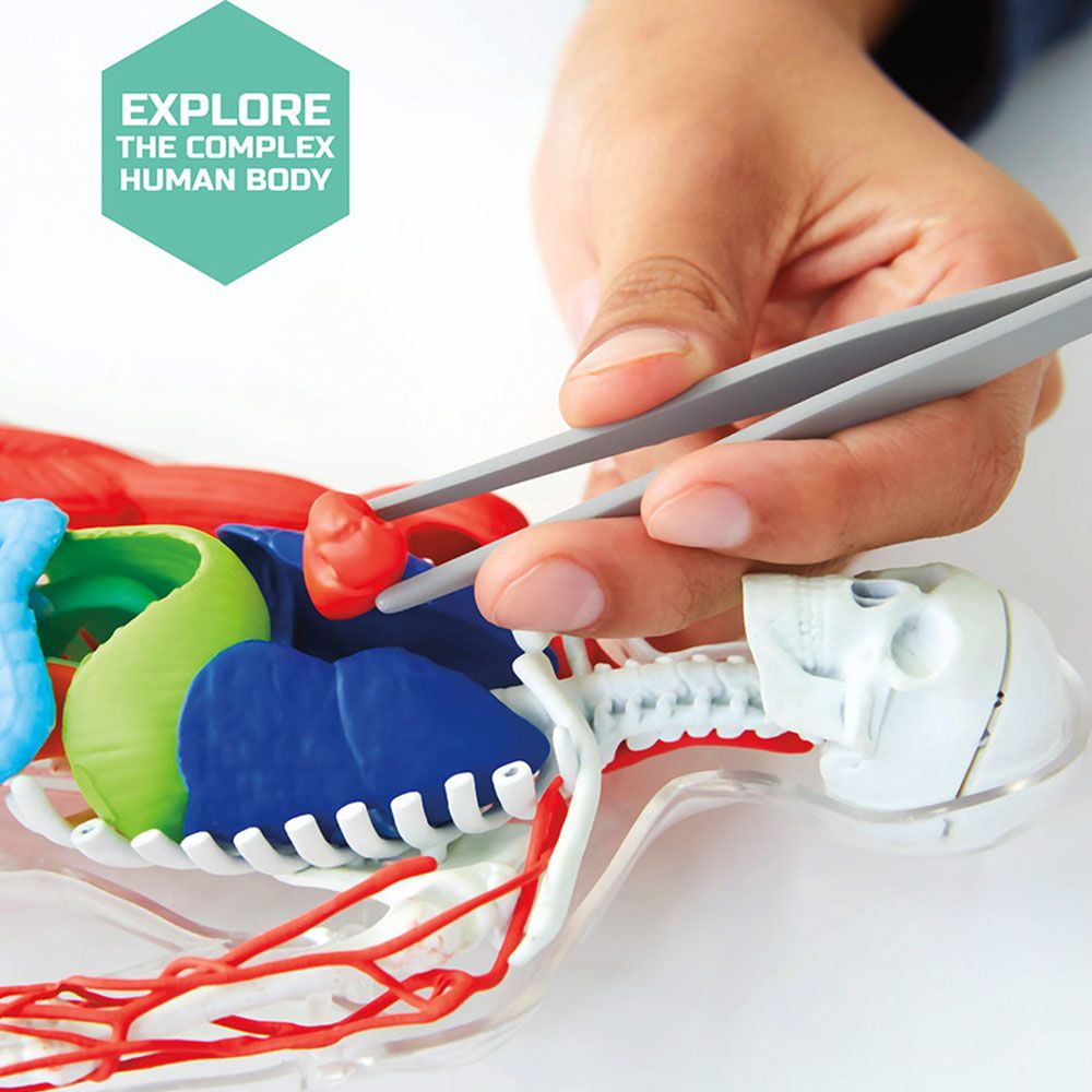 Discovery - Mindblown Human Anatomy Stem Toys Kit