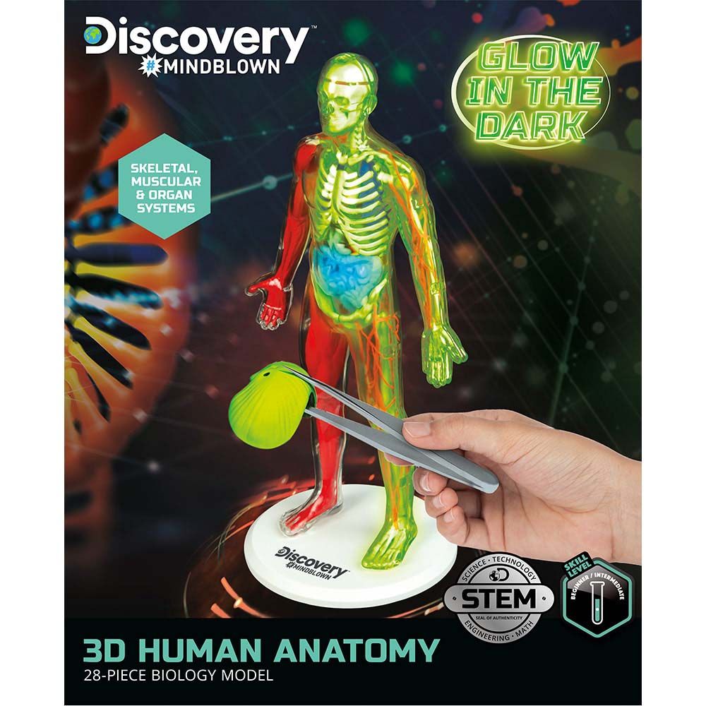 Discovery - Mindblown Human Anatomy Stem Toys Kit