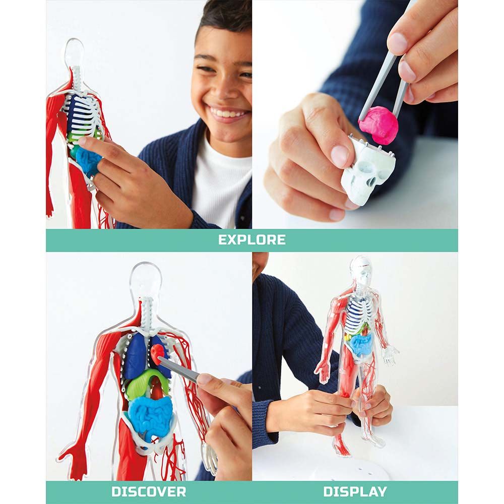 Discovery - Mindblown Human Anatomy Stem Toys Kit