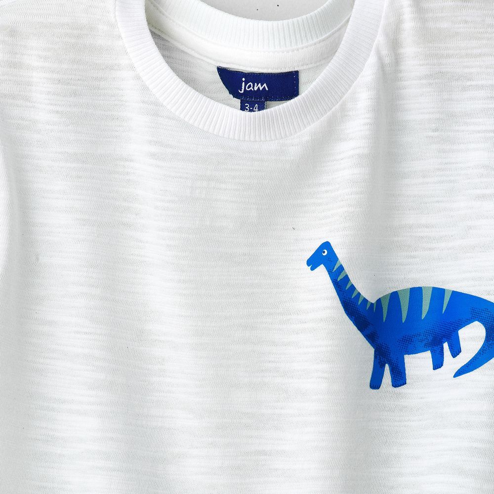 Boys' White Dinosaur Graphic Cotton T-Shirt