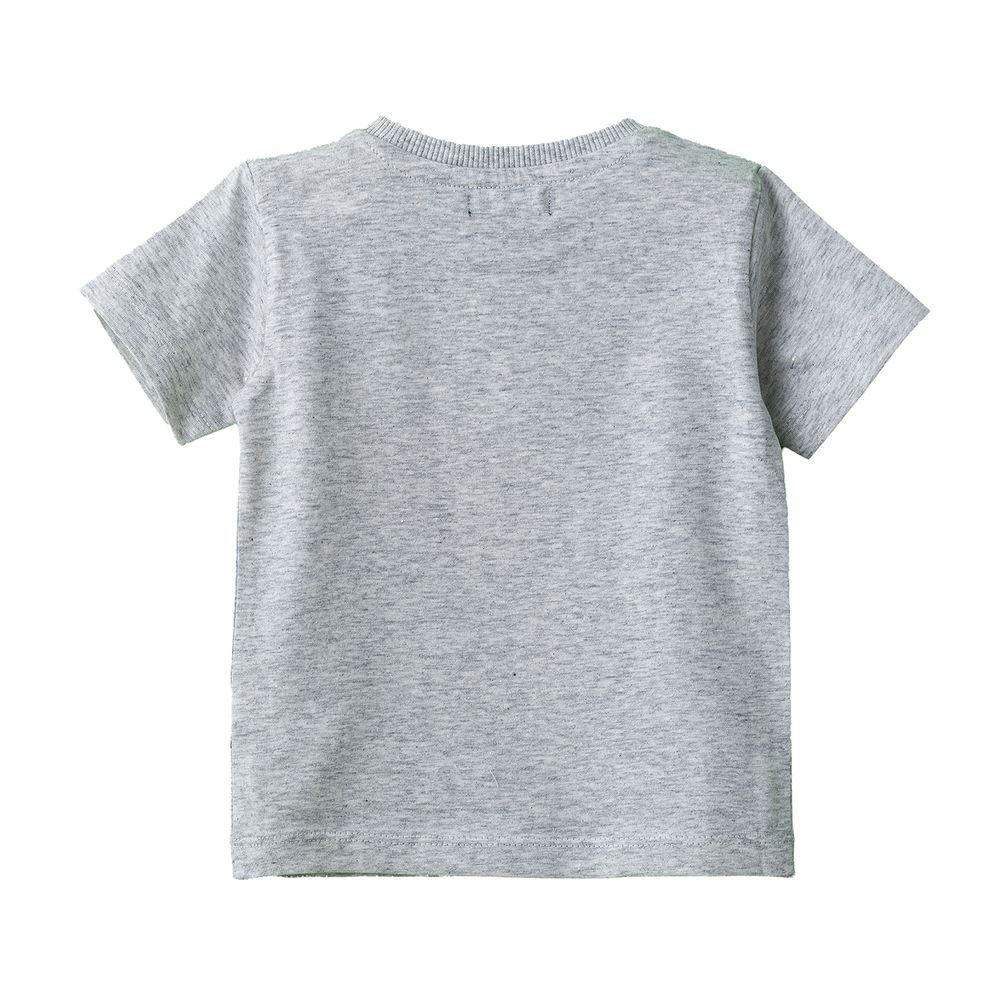 Jam - Boys' Grey Camping Tortoise Graphic Cotton T-shirt