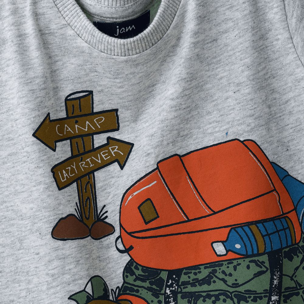 Jam - Boys' Grey Camping Tortoise Graphic Cotton T-shirt