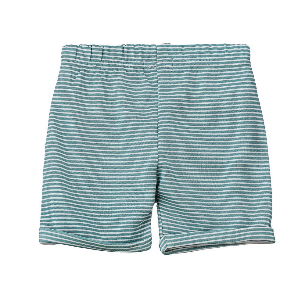 Jam - Boys' Teal Striped Cotton Shorts