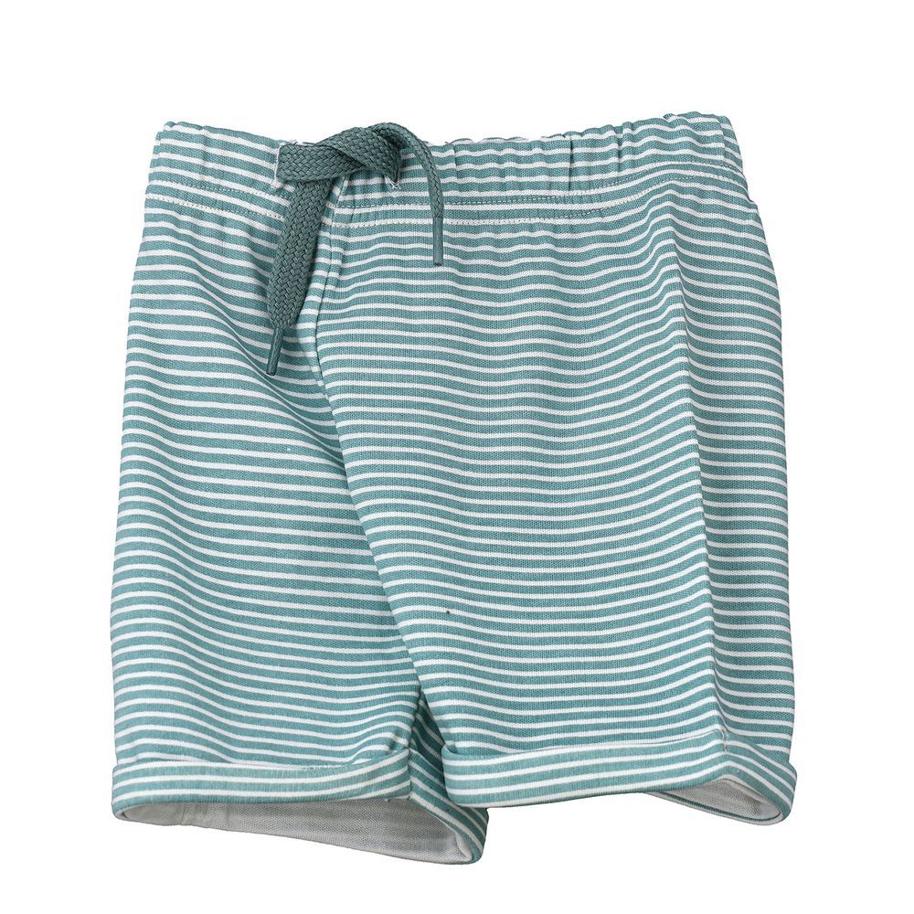 Jam - Boys' Teal Striped Cotton Shorts