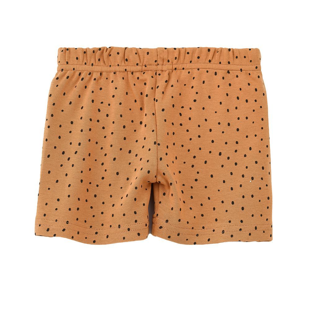 Jam - Boy's Polka Dots Knitted Cotton Shorts - Brown