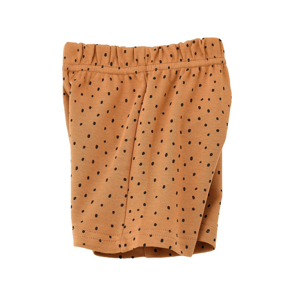 Jam - Boy's Polka Dots Knitted Cotton Shorts - Brown