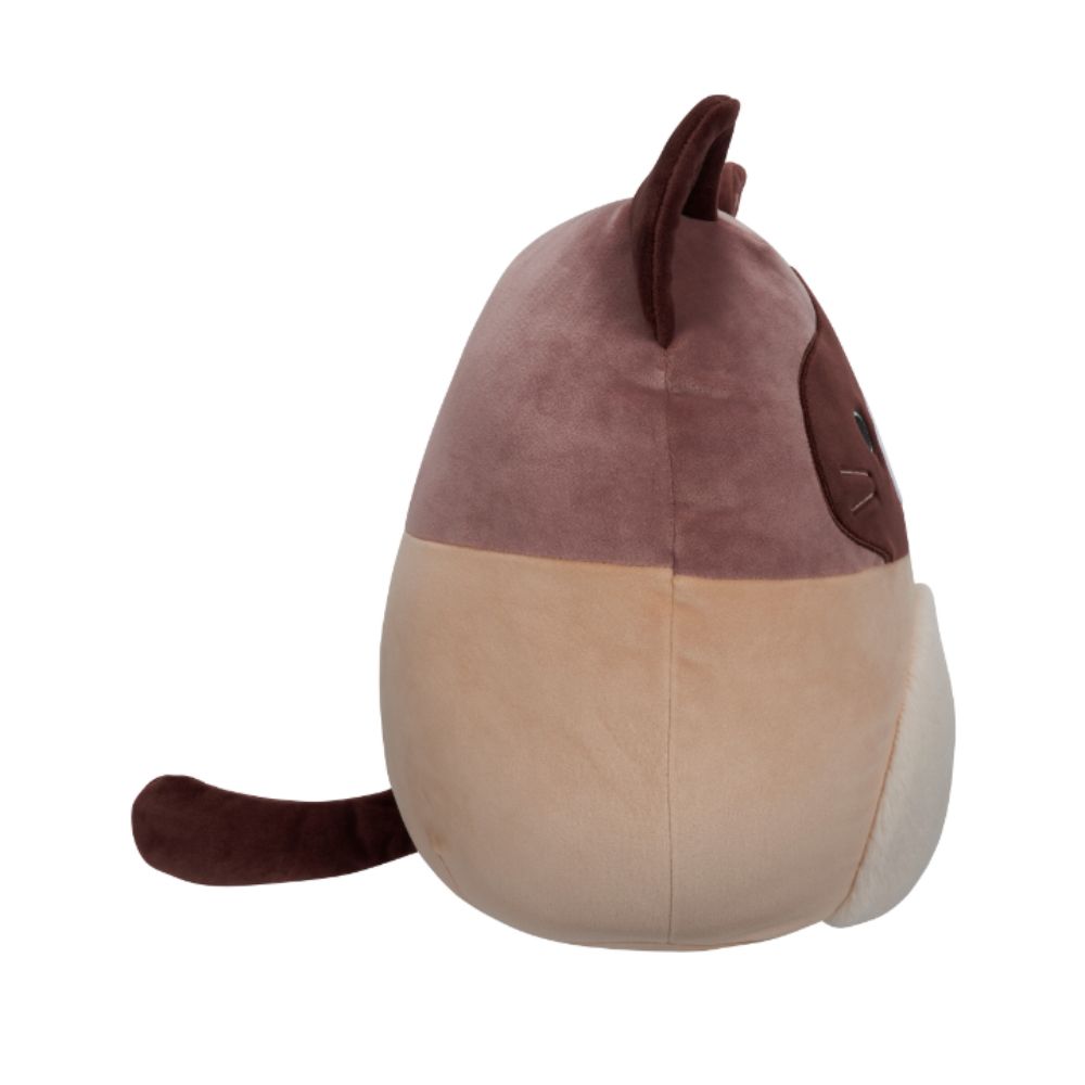 Squishmallows - Woodward And Tan Snowshoe Cat Plush Toy - 30cm - Brown