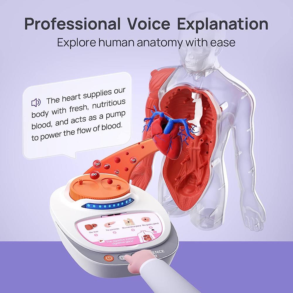 Science Can - My Body Voice Pedia Kit