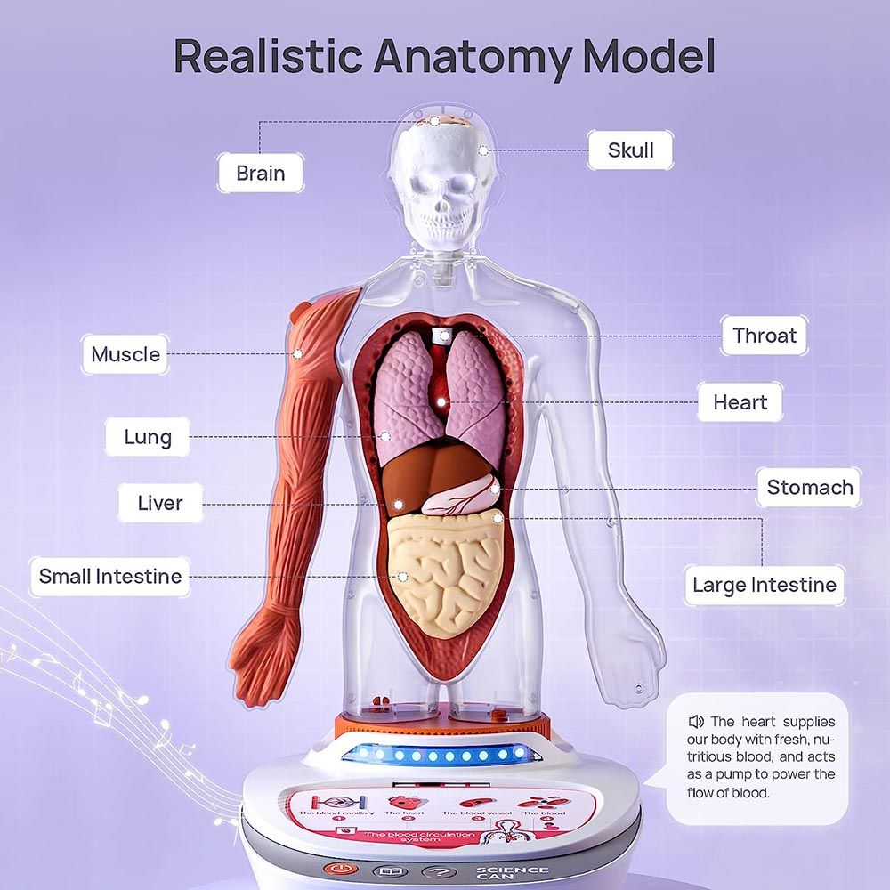 Science Can - My Body Voice Pedia Kit