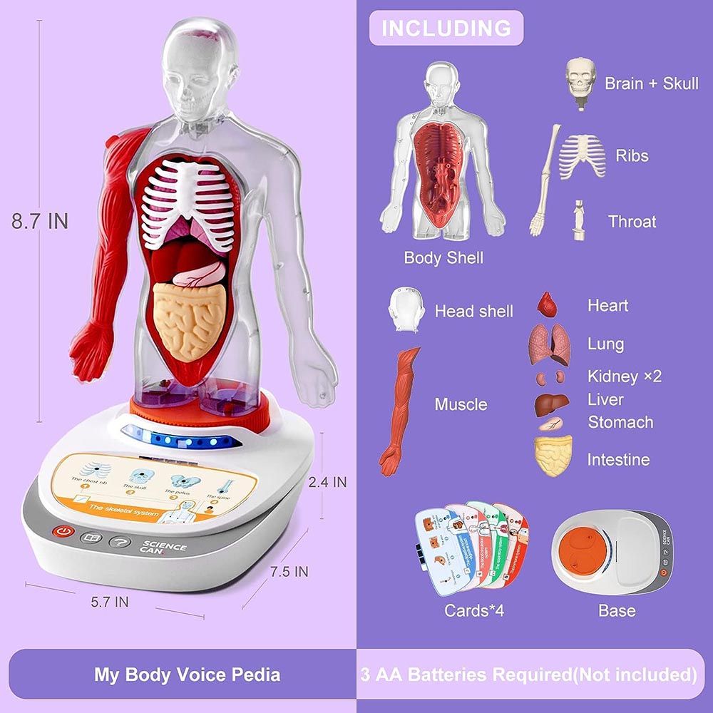 Science Can - My Body Voice Pedia Kit