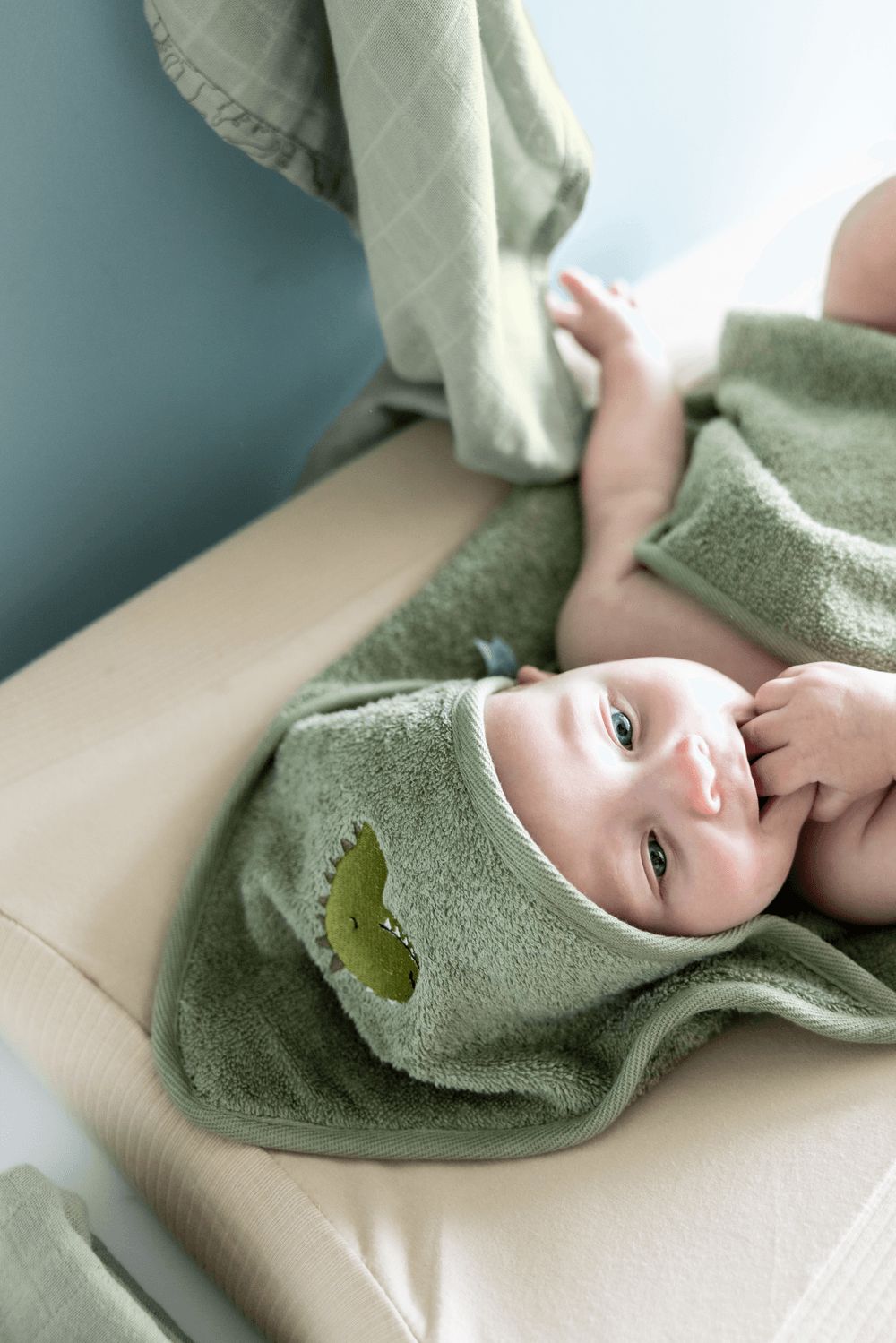 Trixie - Hooded Towel - Green - Dino - Small