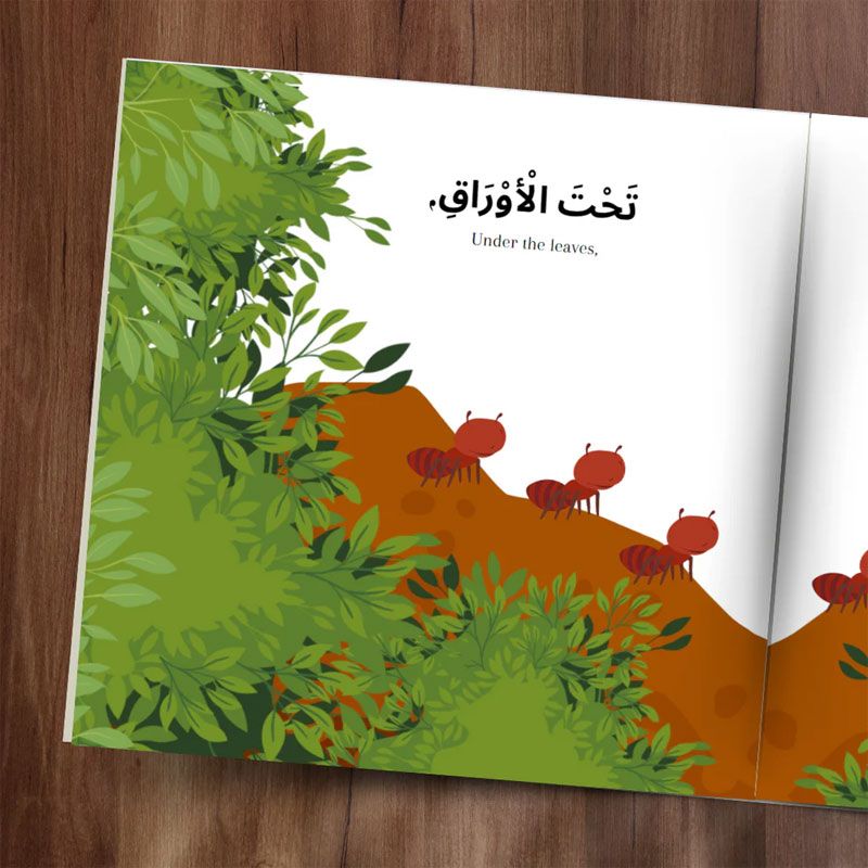 كتاب In the Forest Early Arabic Readers Children's Book