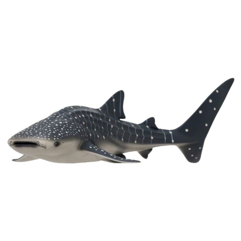 Toy School - Plastic Animal - Whale Shark