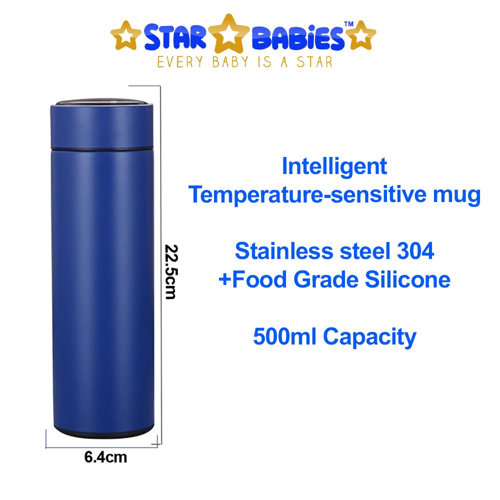 Star Babies - Insulated Stainless Steel Water Bottle - Blue - 500ml