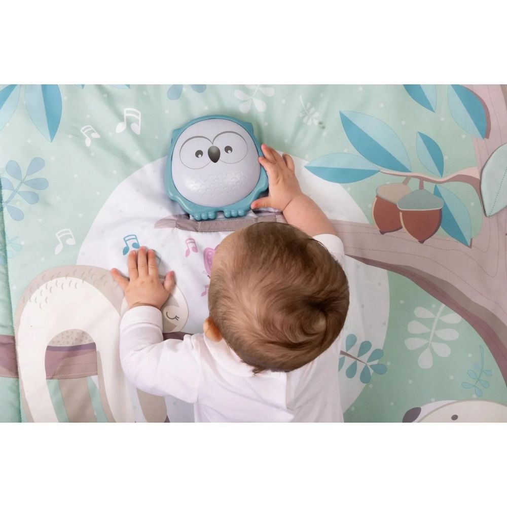 Chicco - 2-In-1 Electronic Owly Playmat