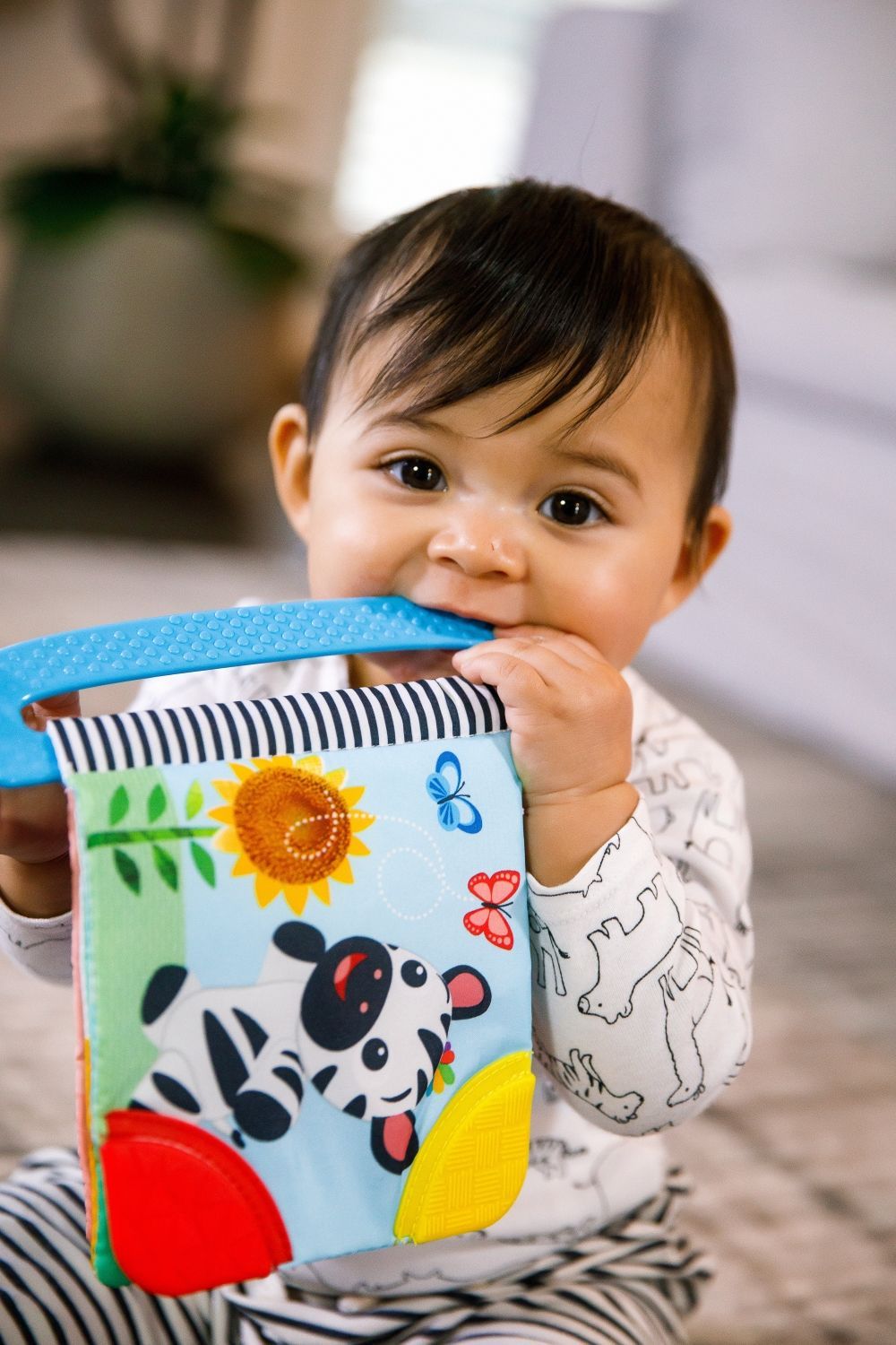 Baby Einstein - Curious Explorers Teether Book