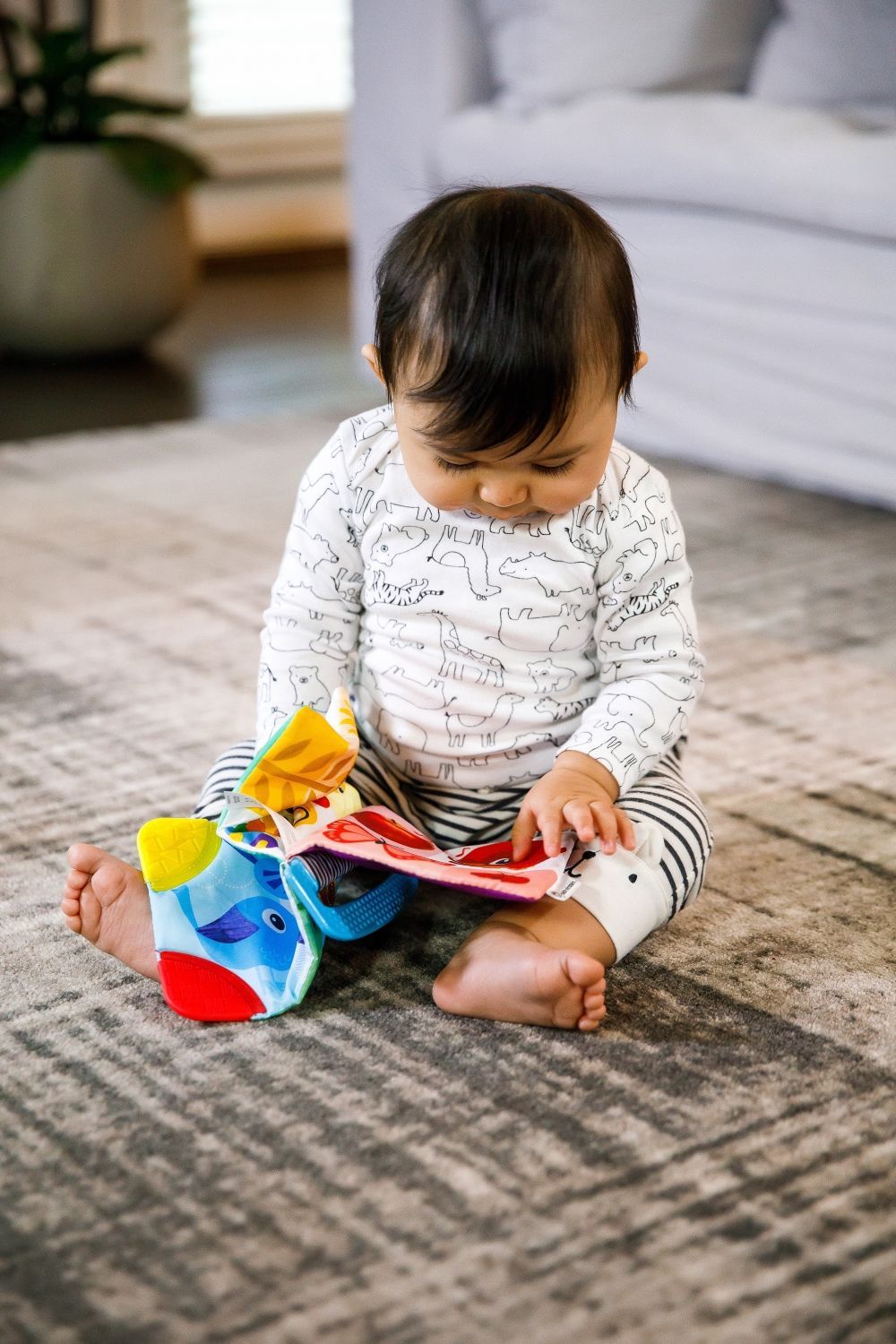 Baby Einstein - Curious Explorers Teether Book