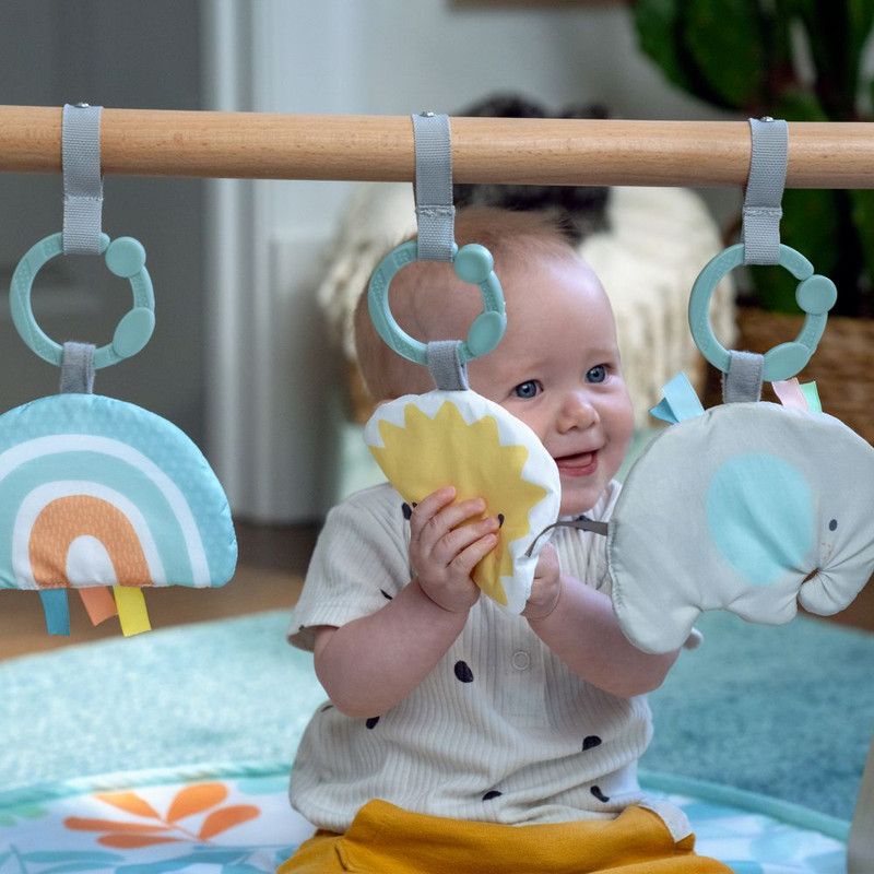 Ingenuity - Nature-Inspired Sun Valley Wooden Toy Arch & Play Mat W/ Toys - Blue