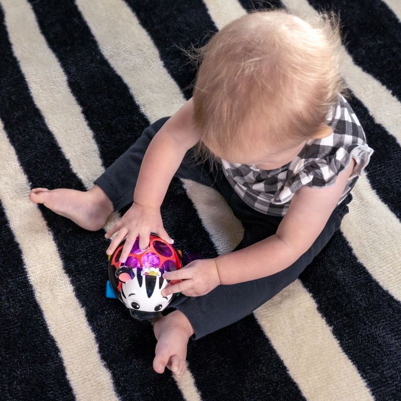 Baby Einstein - Curious Car Zen The Zebra Oball Toy Car And Rattle