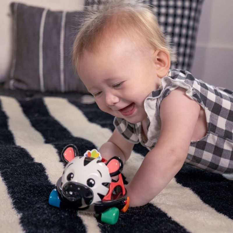 Baby Einstein - Curious Car Zen The Zebra Oball Toy Car And Rattle