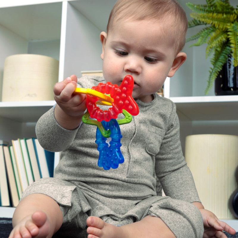 Baby Einstein - Cool Critters Teether Toy Set - 4pcs