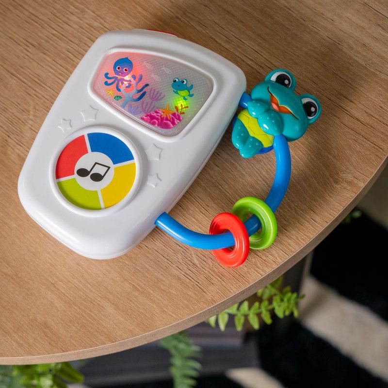 Baby Einstein - Maritime Melodies Musical Baby Toy