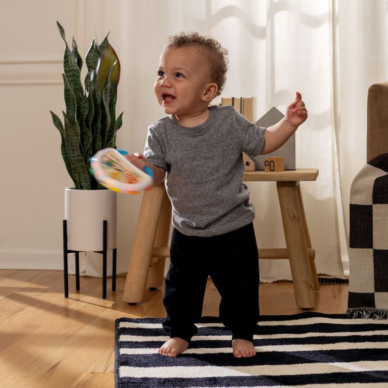 Baby Einstein - Hape Tap And Shake Magic Touch Tambourine