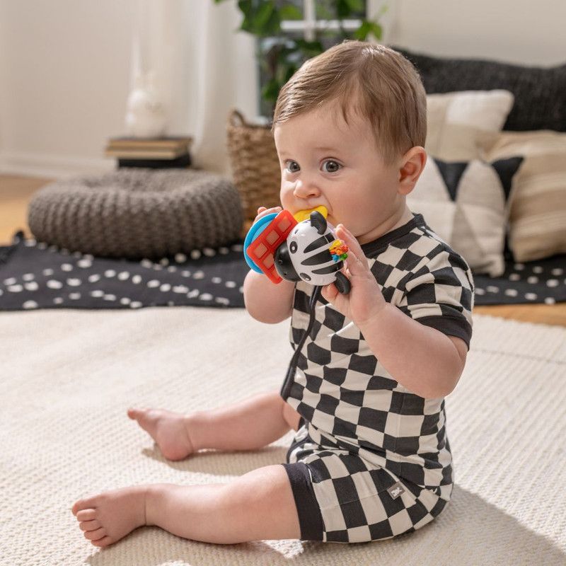 Baby Einstein - 2-In-1 Shake-a-Shape Zen Teether Toy