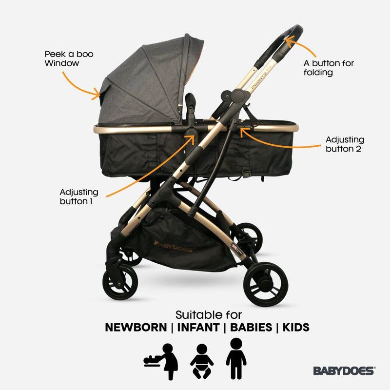 Babydoes - Pronto Rts Reversible Travel System - Dark Grey