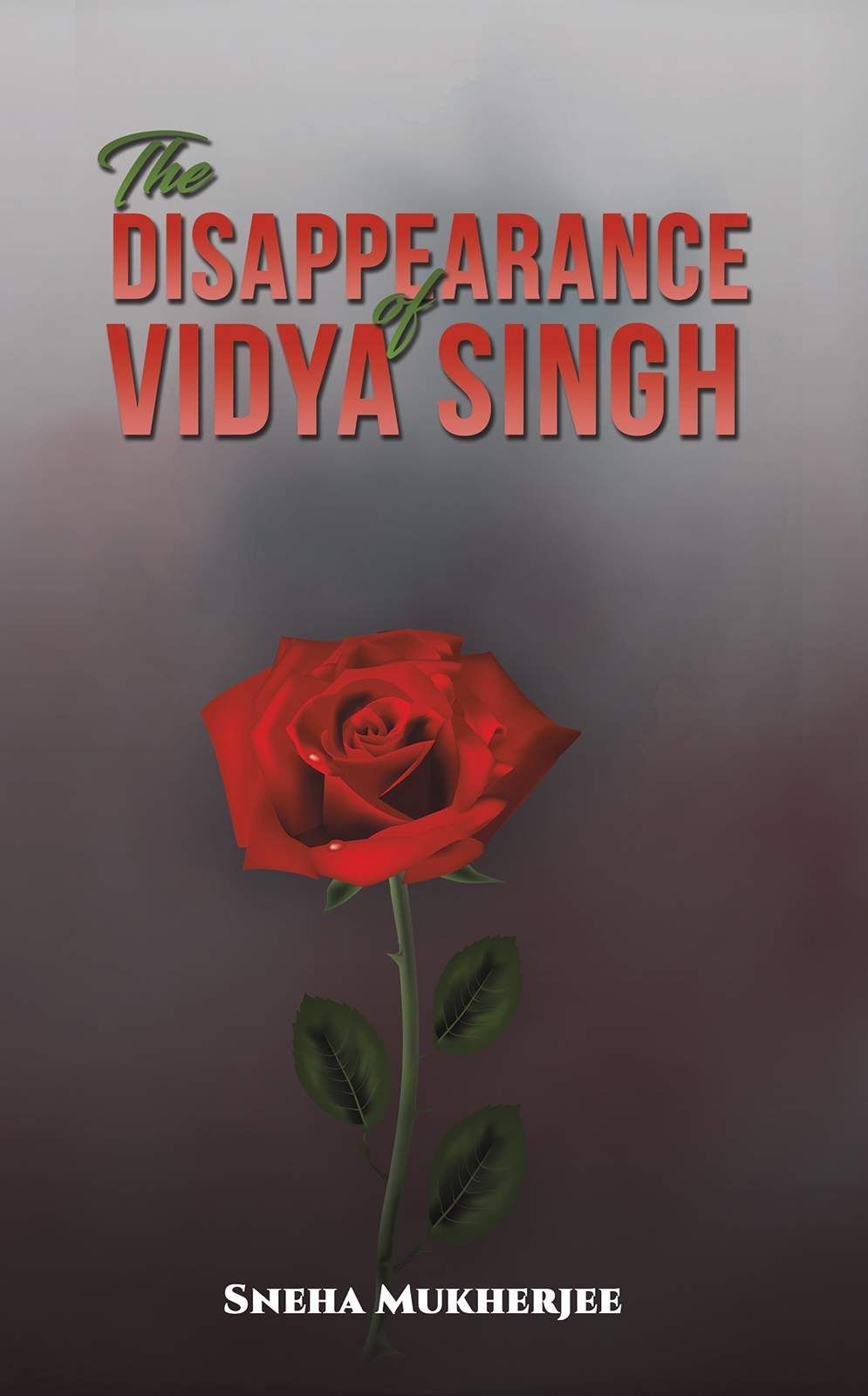 قصة  The Disappearance of Vidya Singh