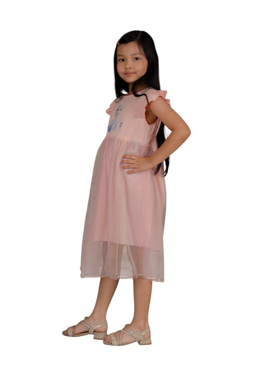 D' Daniela - Girl's Elsa Frozen Wonderland Dress - Pink