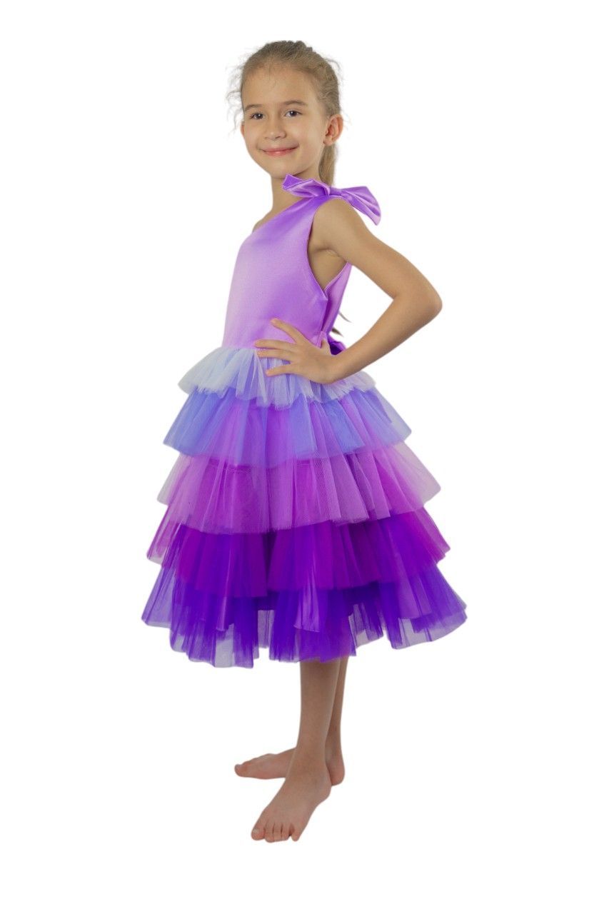 D' Daniela - Emelly Colourful Party Dress - Purple