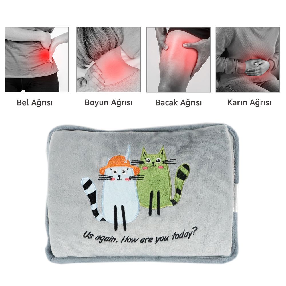 Biggdesign - Electric Rechargeable Hot Water Bag - Greeting Cat