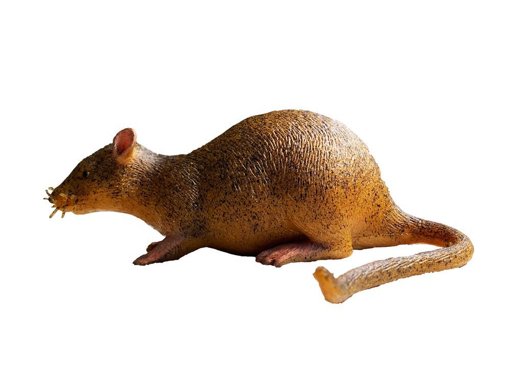 Galaxy Toys - Mouse - Lifelike Brown And Tan With Whiskers And Detailed Fur