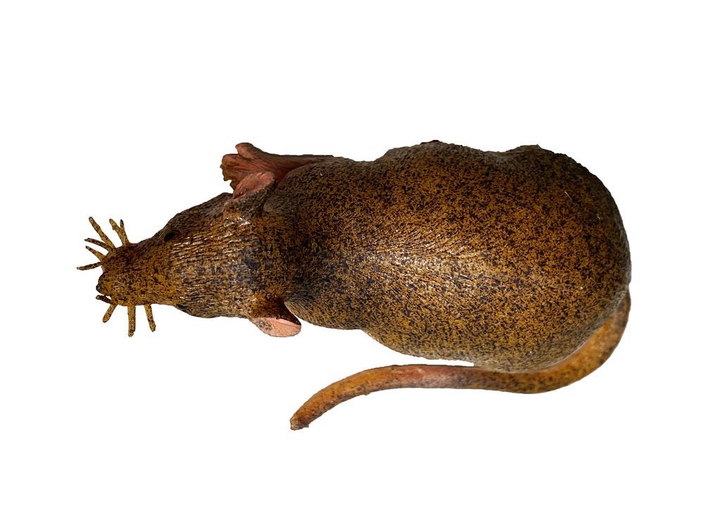 Galaxy Toys - Mouse - Lifelike Brown And Tan With Whiskers And Detailed Fur