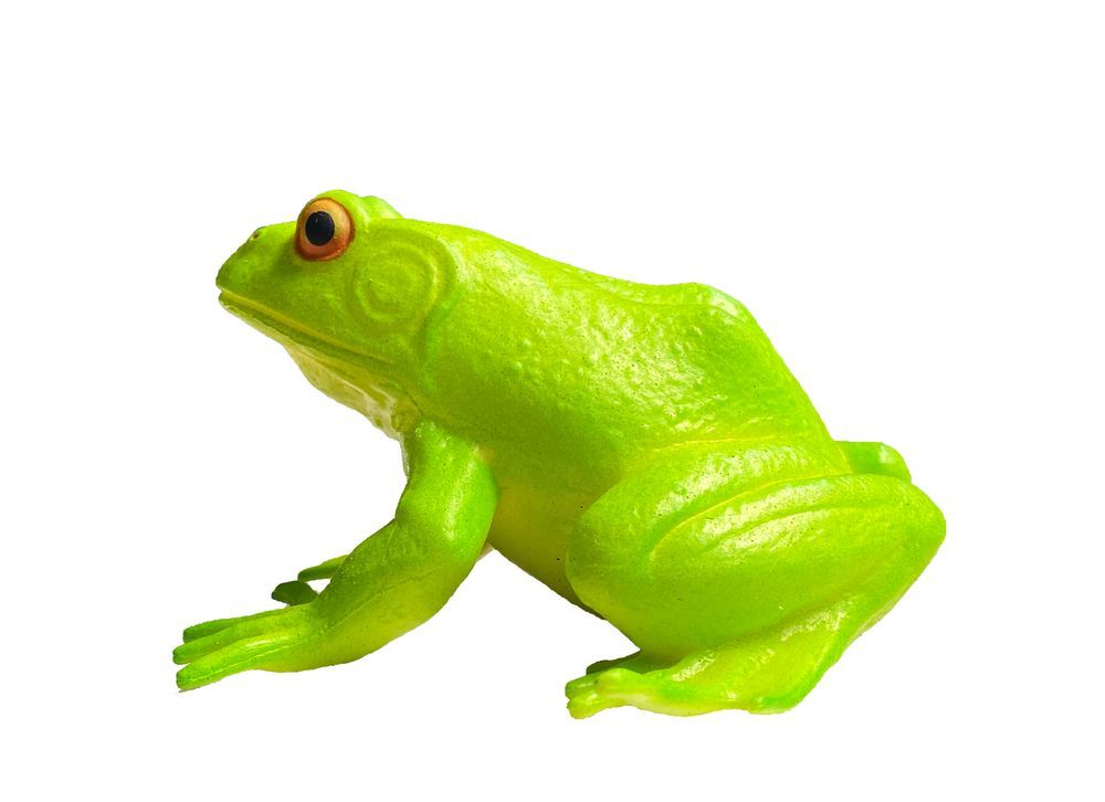 Galaxy Toys - Green Tree Frog - Lifelike Toy With Vibrant Green Color And Prominent Eyes