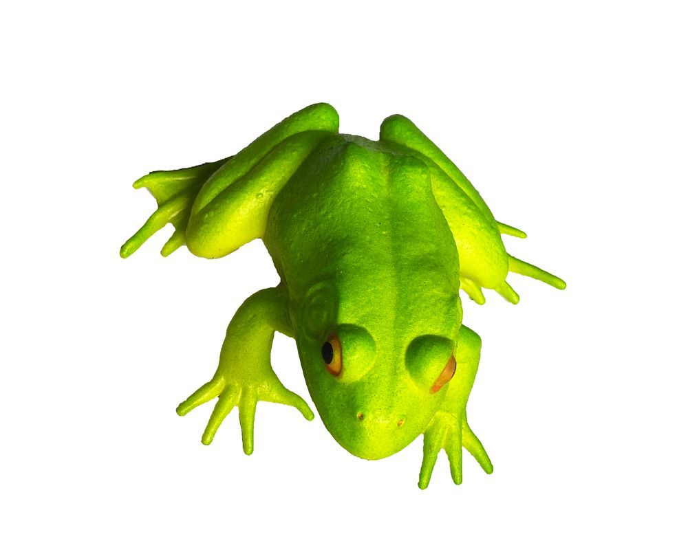 Galaxy Toys - Green Tree Frog - Lifelike Toy With Vibrant Green Color And Prominent Eyes