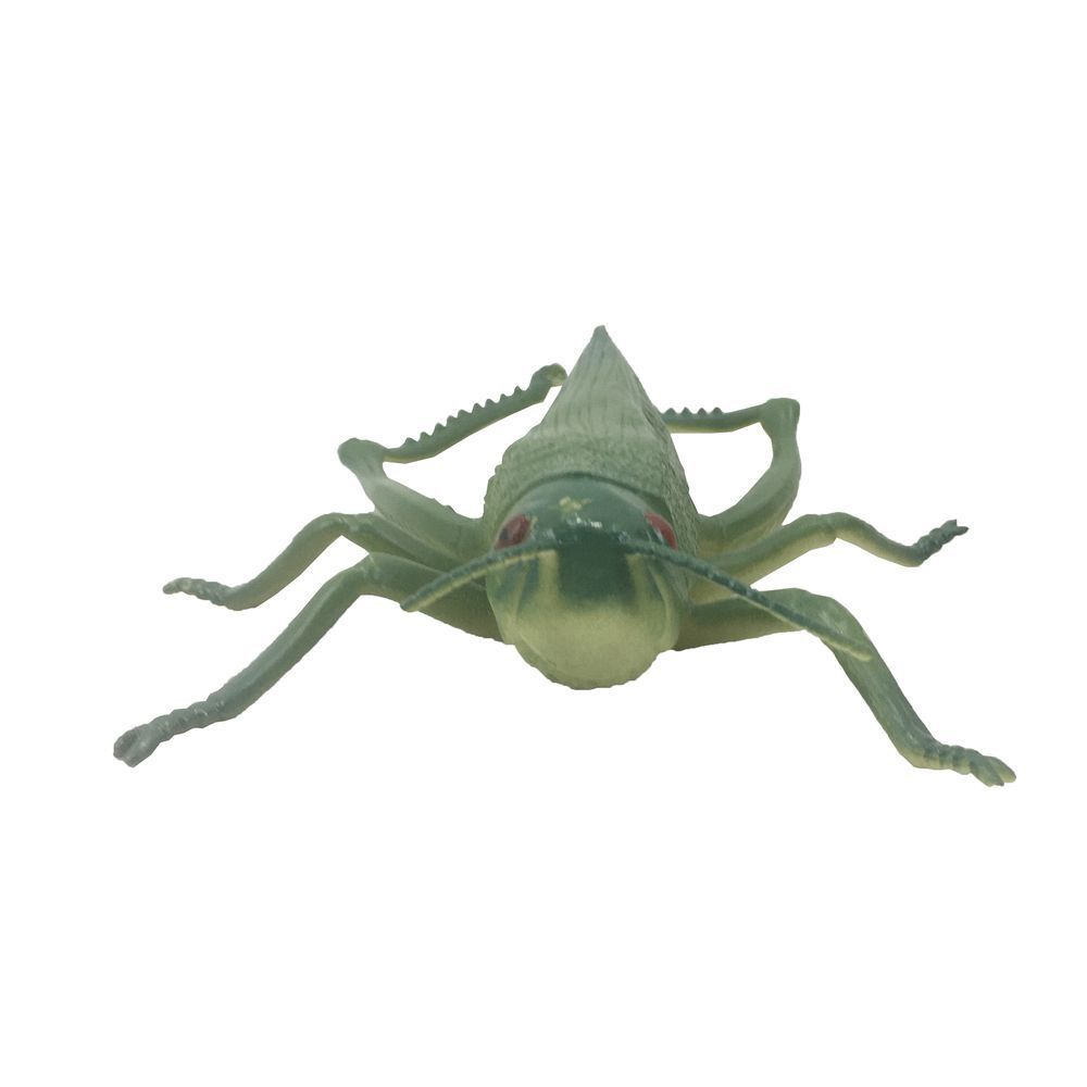 Galaxy Toys - Simulation Series Insect World Toy Hopper - Green