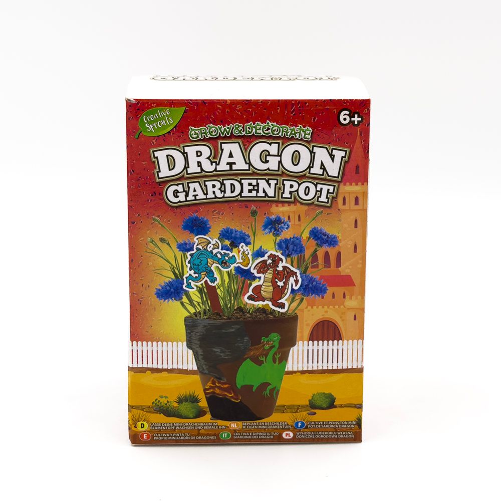 RMS - Grow, Paint, And Decorate Mini Dragon Garden Pot 1pc - Assorted