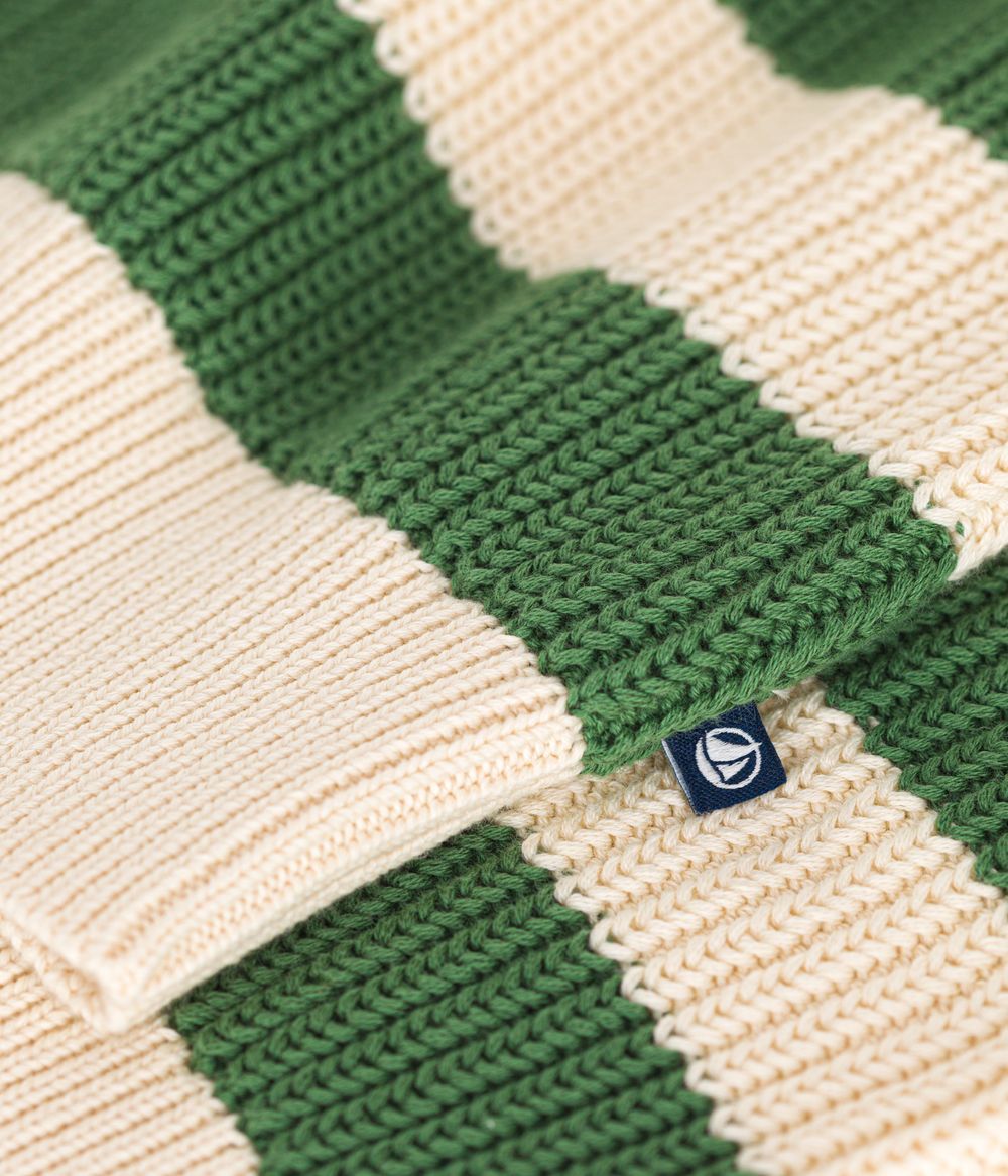 Petit Bateau - Pull Sweater - Palmeraie/Avalanche Green