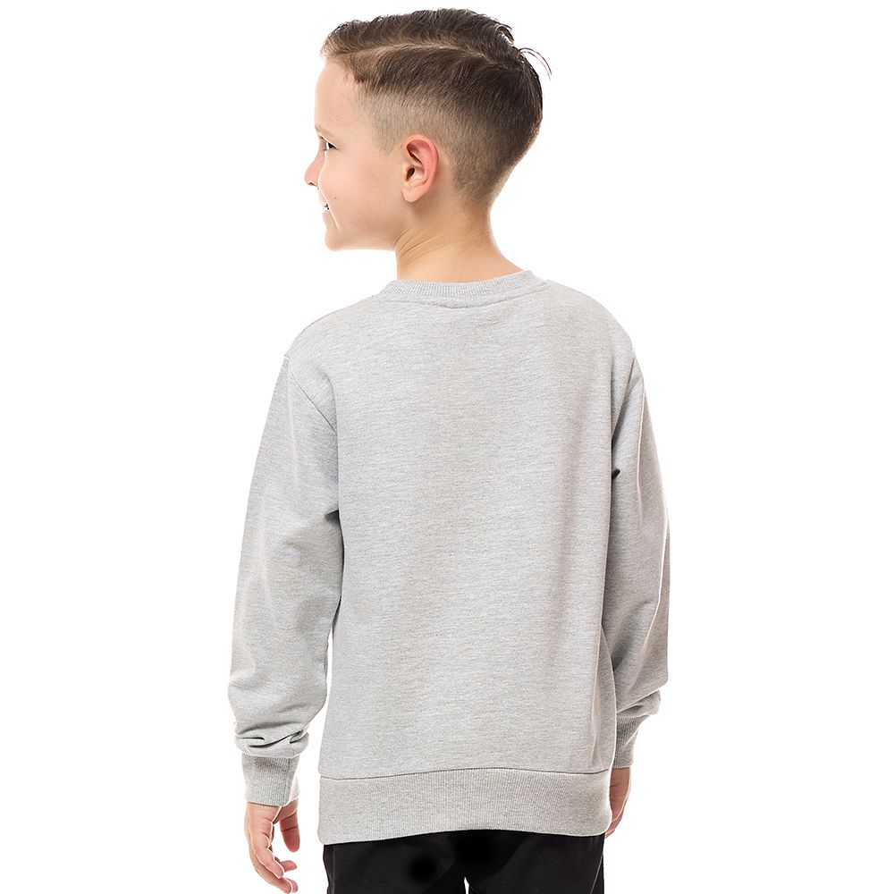 Victor and Jane - Boys' Printed Cotton Sweatshirt - Grey