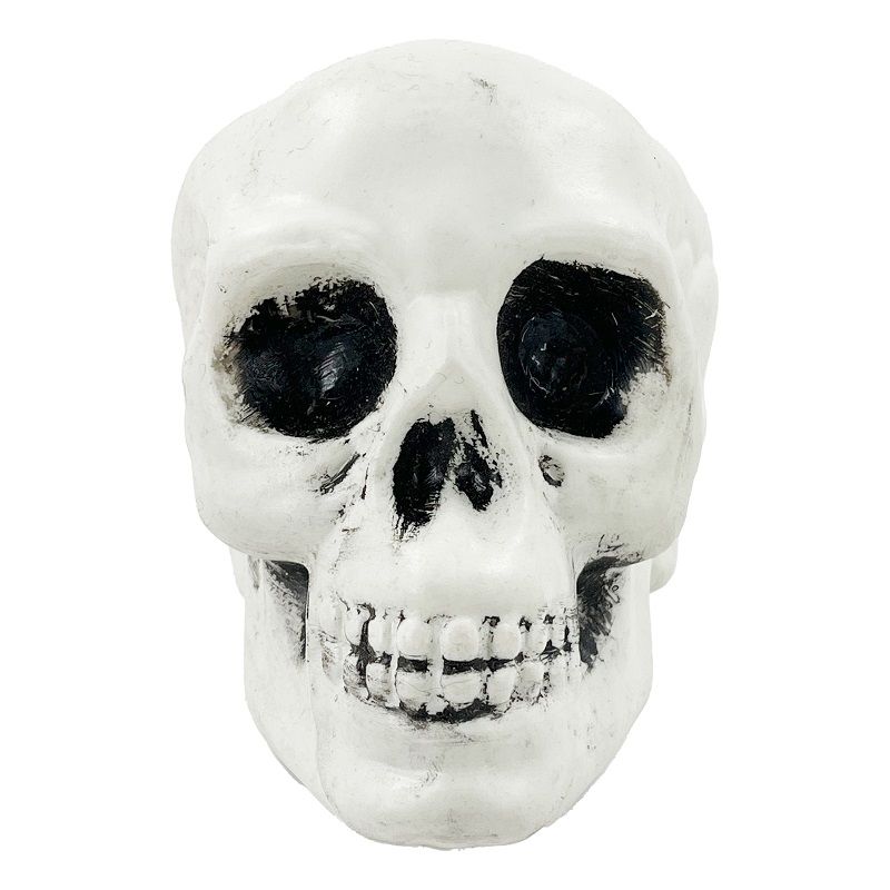 Party Magic - Halloween Decoration Skull - White - Pack of 3