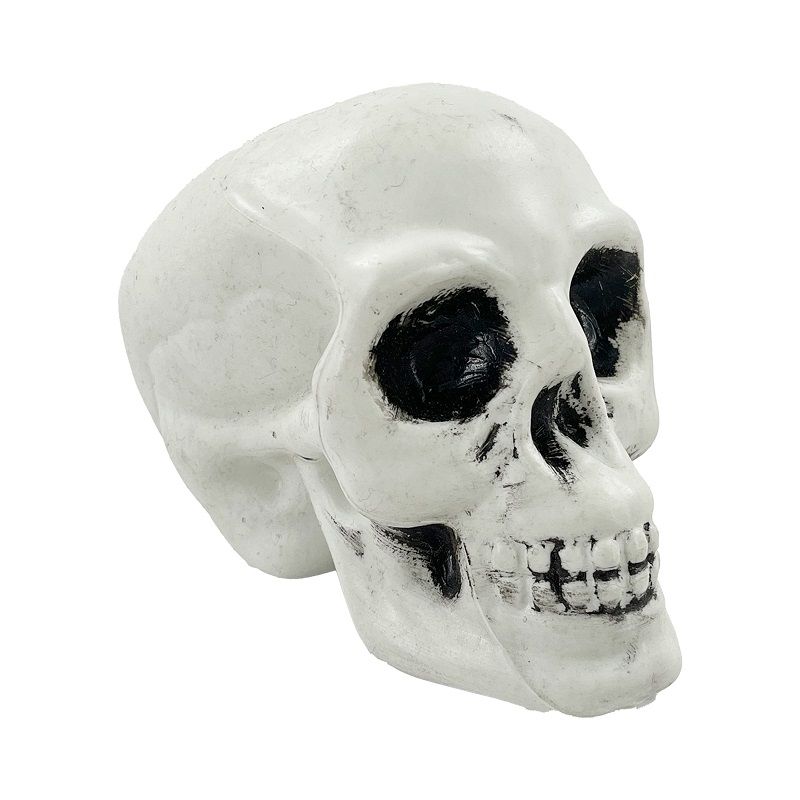 Party Magic - Halloween Decoration Skull - White - Pack of 3