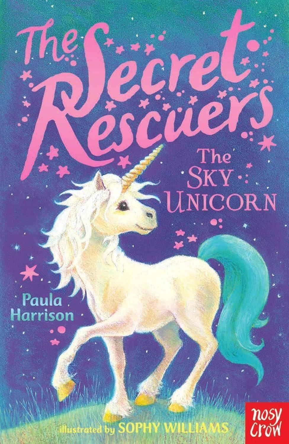 The Secret Rescuers Series Books - Pack of 6