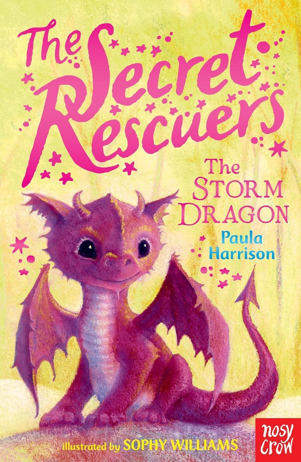 The Secret Rescuers Series Books - Pack of 6